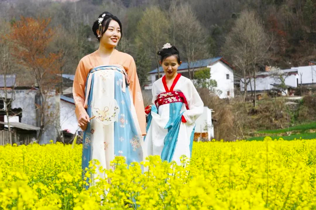 隴南康縣：油菜花海 為你